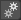 addon_settings Icon